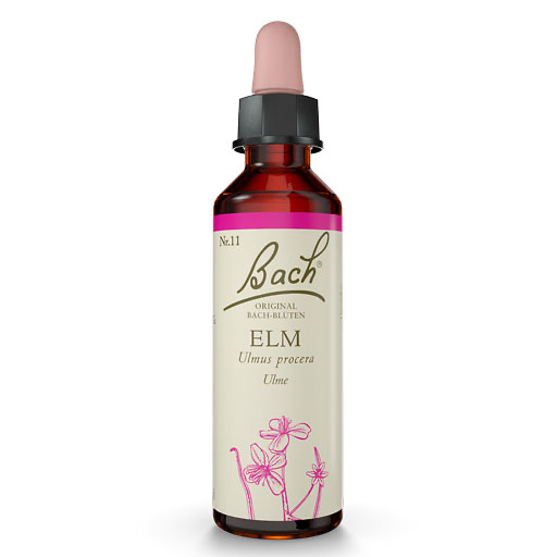 BACHBLÜTEN Elm Tropfen
