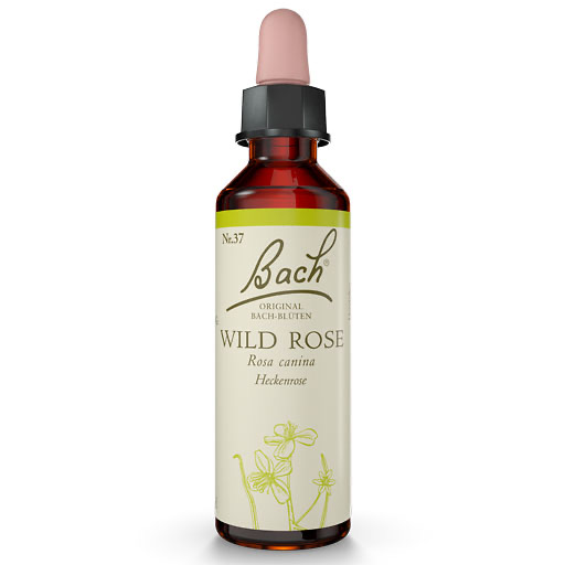 BACHBLÜTEN Wild Rose Tropfen