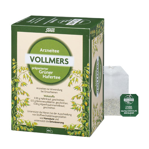 VOLLMERS präparierter grüner Hafertee Filterbeutel