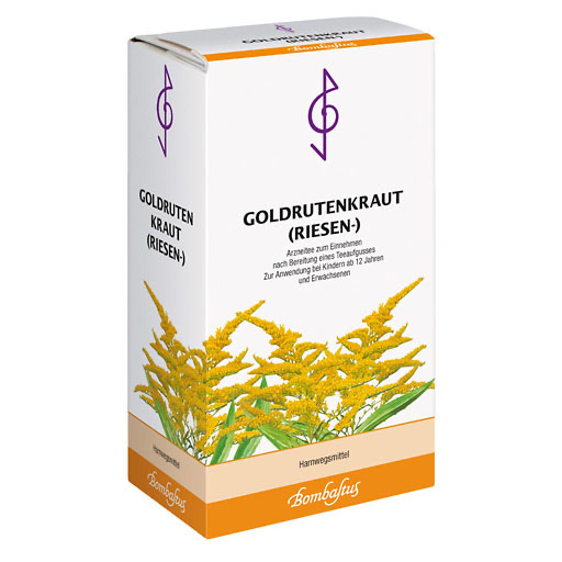 GOLDRUTENKRAUT Riesen Tee