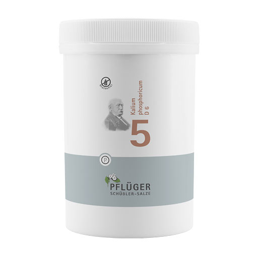 BIOCHEMIE Pflüger 5 Kalium phosphoricum D 6 Tabl.