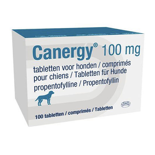 CANERGY 100 mg Tabletten für Hunde
